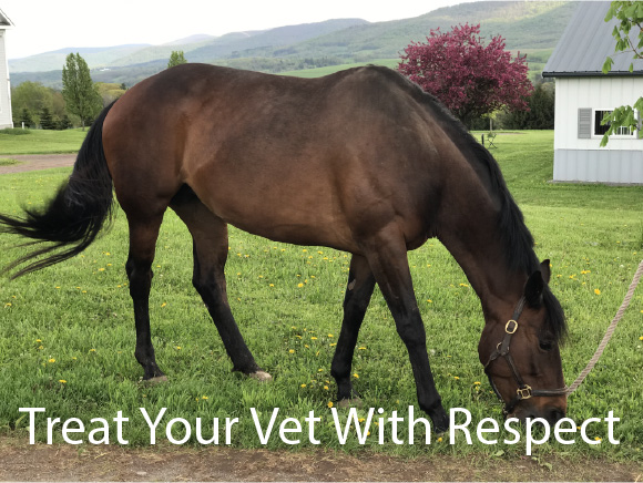Treat Your Vet With Respect