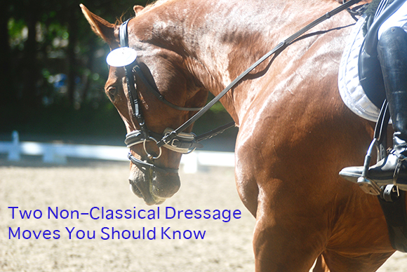 Two Non–Classical Dressage Moves You Should Know