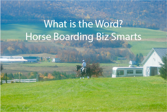 What is the Word? Horse Boarding Biz Smarts