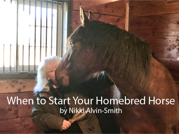 When to Start Your Homebred Horse
