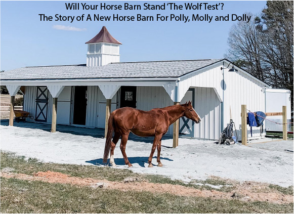 Will Your Horse Barn Stand ‘The Wolf Test’?
The Story of A New Horse Barn For Polly, Molly and Dolly
