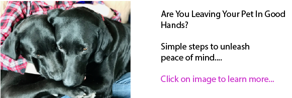 Are You Leaving Your Pet In Good Hands?