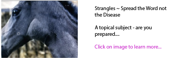 Strangles ~ Spread the Word not the Disease 