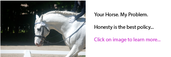 Your Horse. My Problem.