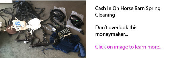 Cash In On Horse Barn Spring Cleaning