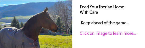 Feed Your Iberian Horse With Care Feed Your Iberian Horse With Care