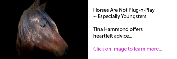 Horses Are Not Plug-n-Play ~ Especially Youngsters Horses Are Not Plug-n-Play ~ Especially Youngsters