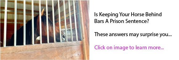 Is Keeping Your Horse Behind Bars A Prison Sentence? Is Keeping Your Horse Behind Bars A Prison Sentence?