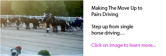 Making The Move Up to Pairs Driving