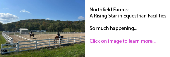Northfield Farm ~ A Rising Star in Equestrian Facilities