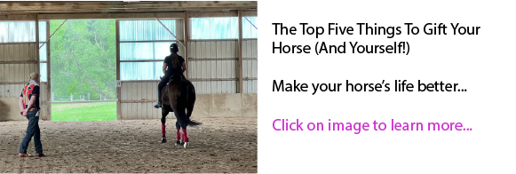 The Top Five Things To Gift Your Horse (And Yourself!)