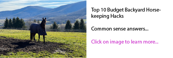 Top 10 Budget Backyard Horsekeeping Hacks