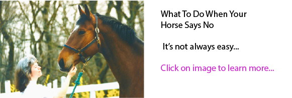 What To Do When Your Horse Says No What To Do When Your Horse Says No
